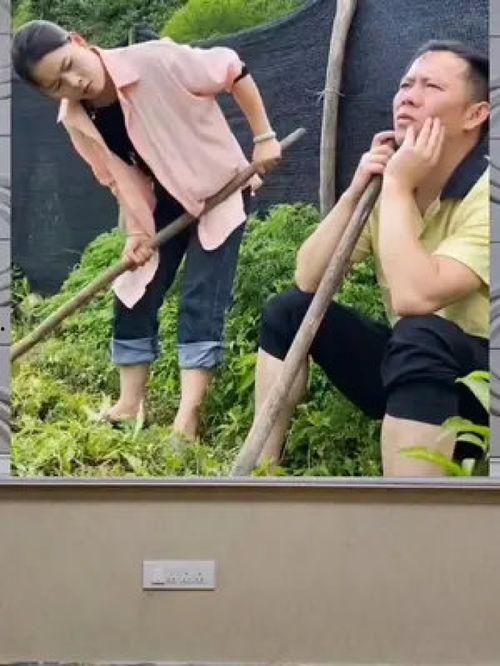 娱乐八卦吃瓜群众1,揭秘“吃瓜群众1”背后的故事